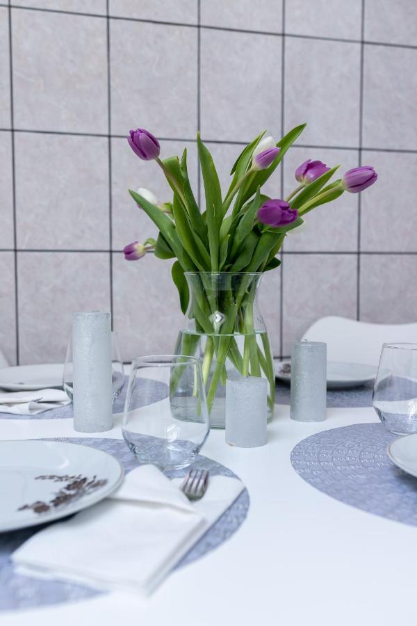 Marconi Guesthouse Hunedoara Zewnętrze zdjęcie